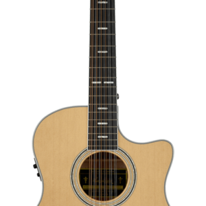 HAGSTROM SILJAN II GRAND AUDITORIUM CE 12 NAT