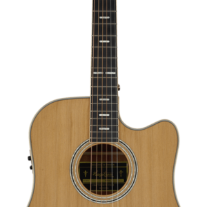 HAGSTROM ELFDALIA II DREADNOUGHT CE NAT