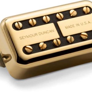 SEYMOUR DUNCAN PSYCLONE HB NECK GOLD