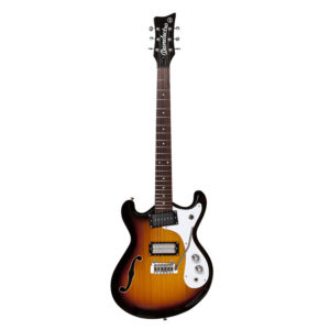 DANELECTRO 66T3TS