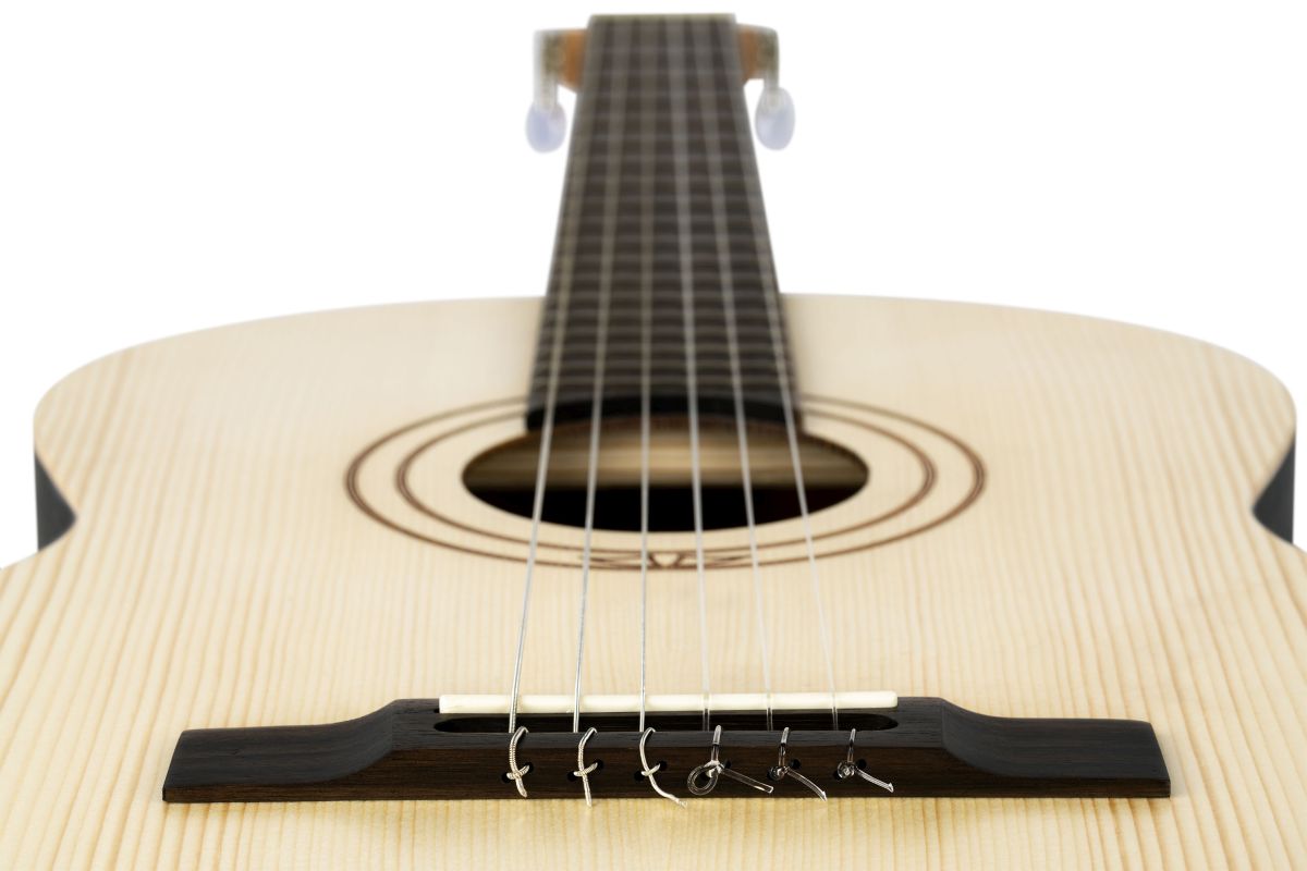 ORTEGA R16S - immagine 5