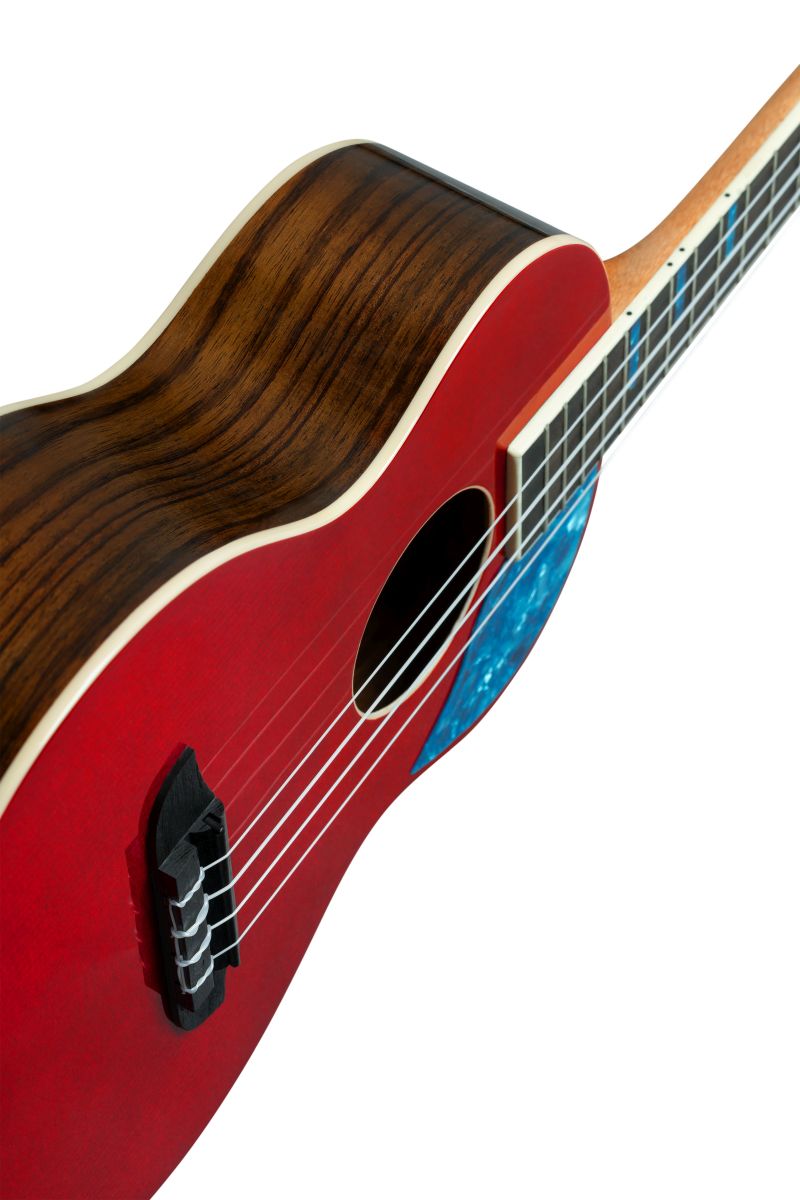 ORTEGA RUGH-SRT - immagine 5