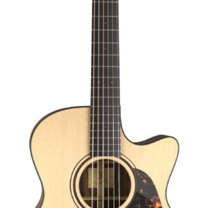 FURCH BLUE GC-SW VTC